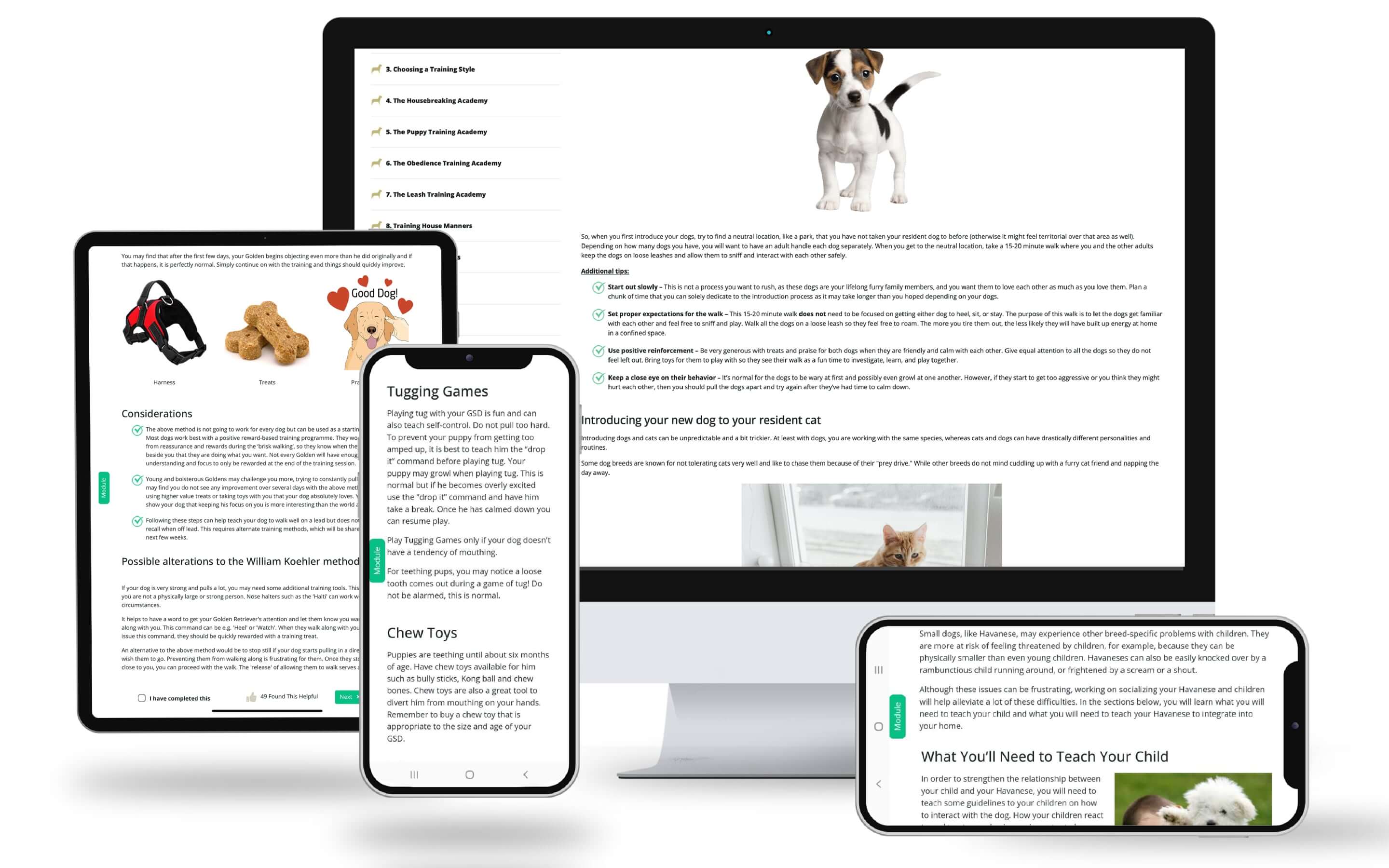 Smart Dog Accelerator Program in action